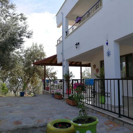 Bed and Breakfast Kaymak Tepesi Tatil Evi Kucukkuyu Zewnętrze zdjęcie