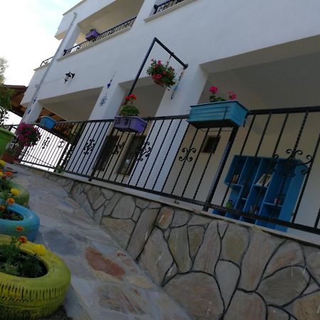 Bed and Breakfast Kaymak Tepesi Tatil Evi Kucukkuyu Zewnętrze zdjęcie