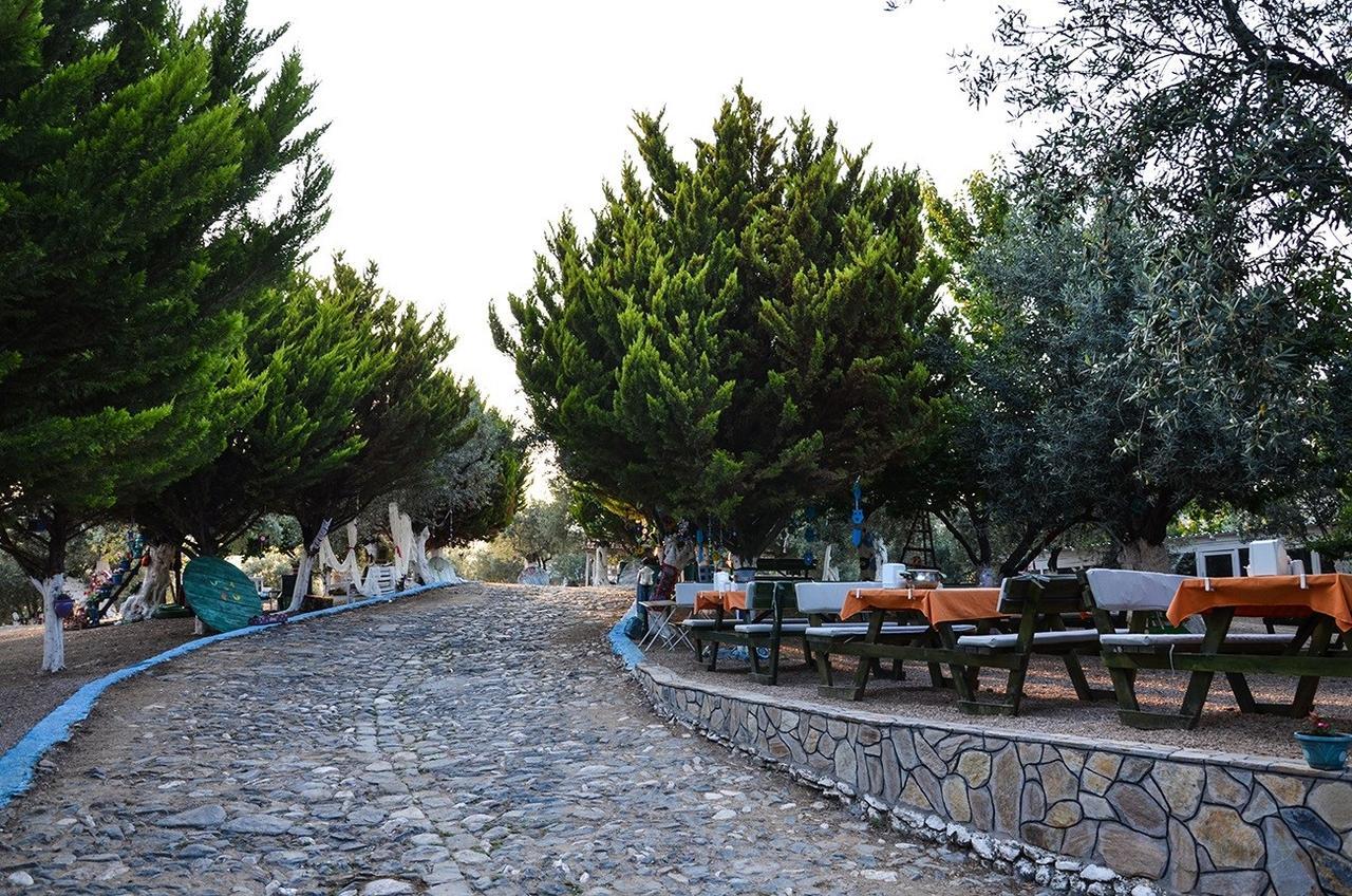 Bed and Breakfast Kaymak Tepesi Tatil Evi Kucukkuyu Zewnętrze zdjęcie