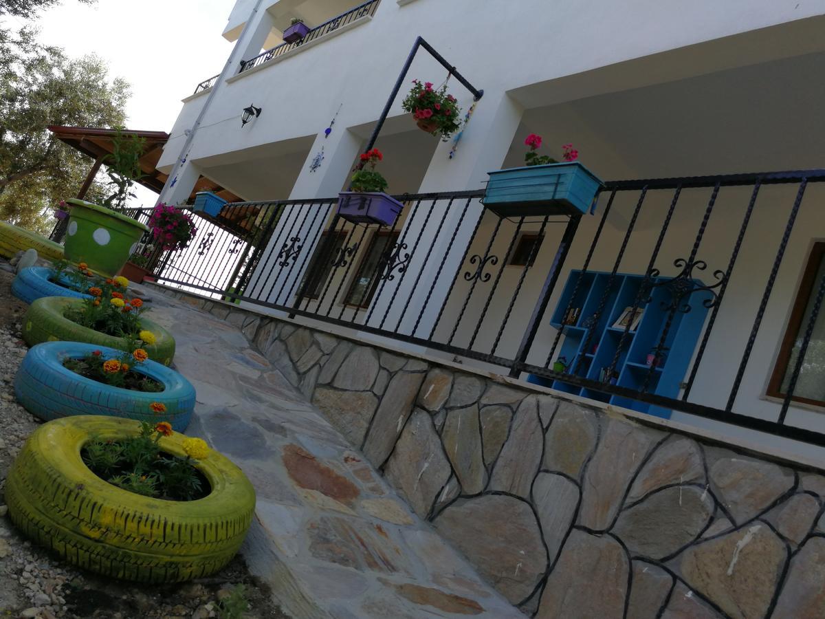Bed and Breakfast Kaymak Tepesi Tatil Evi Kucukkuyu Zewnętrze zdjęcie