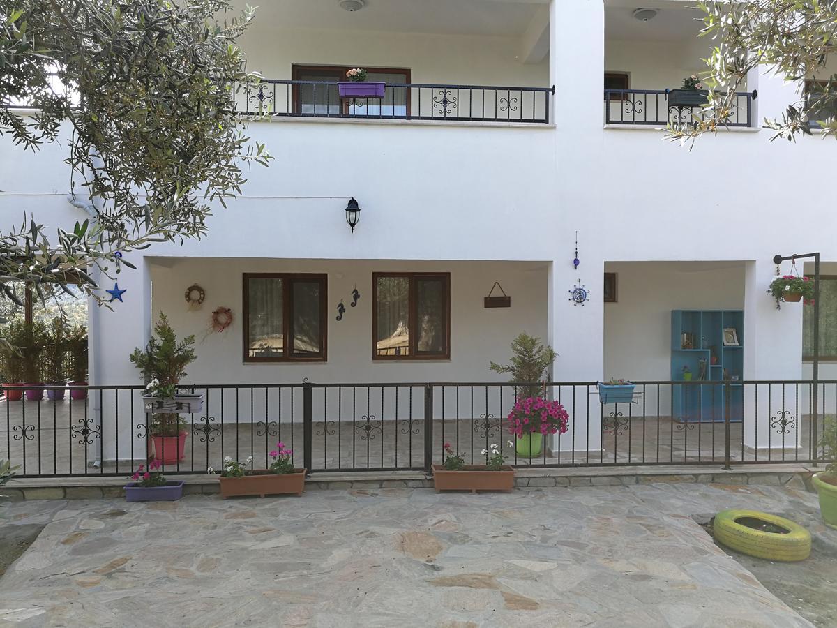 Bed and Breakfast Kaymak Tepesi Tatil Evi Kucukkuyu Zewnętrze zdjęcie