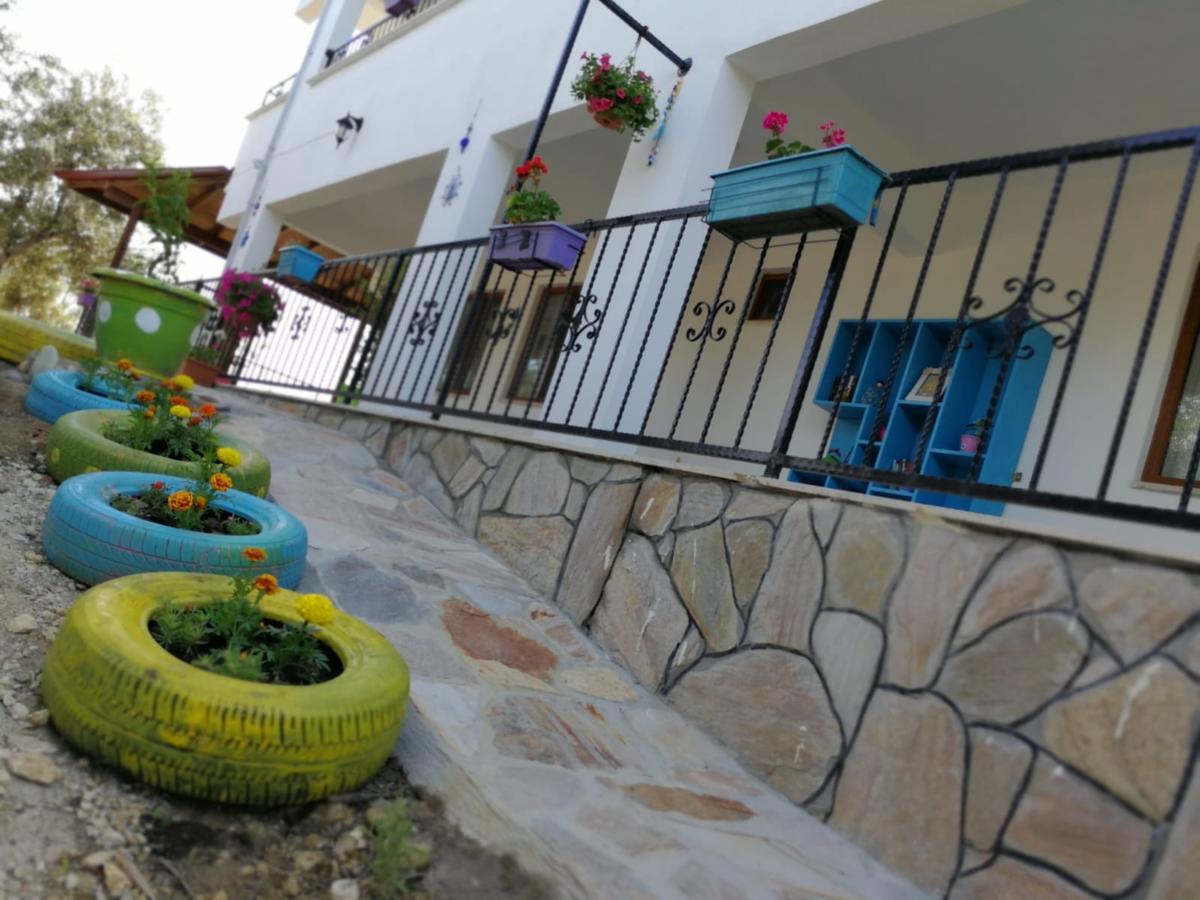 Bed and Breakfast Kaymak Tepesi Tatil Evi Kucukkuyu Zewnętrze zdjęcie
