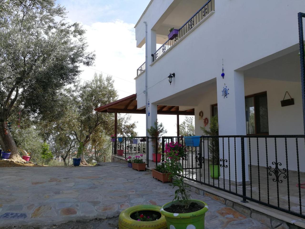 Bed and Breakfast Kaymak Tepesi Tatil Evi Kucukkuyu Zewnętrze zdjęcie