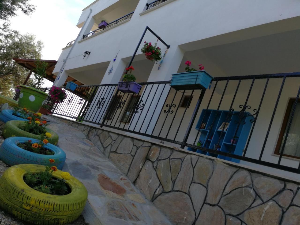 Bed and Breakfast Kaymak Tepesi Tatil Evi Kucukkuyu Zewnętrze zdjęcie